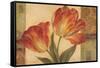 Memories of Sienna II-Pamela Gladding-Framed Stretched Canvas