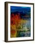 Memories Of The Lake-Ruth Palmer-Framed Art Print