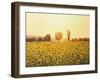 Memories Of The Summer-kirilstanchev-Framed Art Print