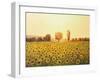 Memories Of The Summer-kirilstanchev-Framed Art Print