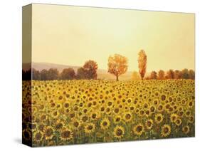 Memories Of The Summer-kirilstanchev-Stretched Canvas