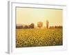 Memories Of The Summer-kirilstanchev-Framed Art Print