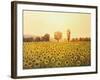 Memories Of The Summer-kirilstanchev-Framed Art Print