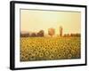 Memories Of The Summer-kirilstanchev-Framed Art Print