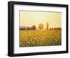 Memories Of The Summer-kirilstanchev-Framed Art Print