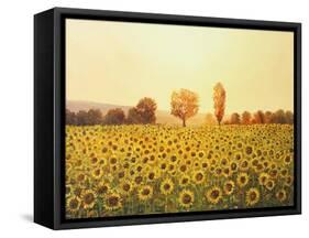 Memories Of The Summer-kirilstanchev-Framed Stretched Canvas