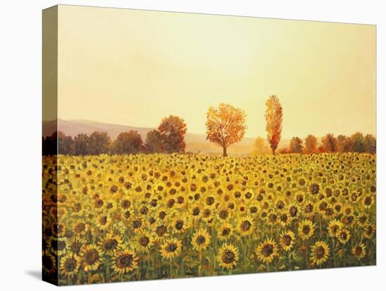 Memories Of The Summer-kirilstanchev-Stretched Canvas