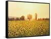 Memories Of The Summer-kirilstanchev-Framed Stretched Canvas