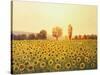 Memories Of The Summer-kirilstanchev-Stretched Canvas