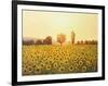 Memories Of The Summer-kirilstanchev-Framed Art Print