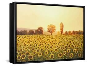 Memories Of The Summer-kirilstanchev-Framed Stretched Canvas