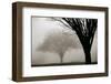 Memories of Winter-David Winston-Framed Giclee Print