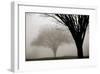 Memories of Winter-David Winston-Framed Giclee Print