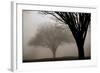 Memories of Winter-David Winston-Framed Art Print