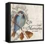 Memories we Make-Patricia Pinto-Framed Stretched Canvas