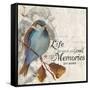 Memories we Make-Patricia Pinto-Framed Stretched Canvas