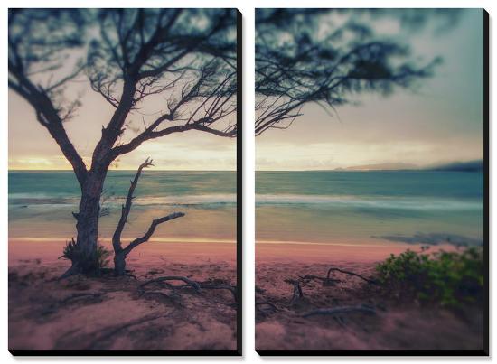 Memory Beach, Kauai-Vincent James-Stretched Canvas