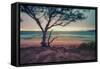 Memory Beach, Kauai-Vincent James-Framed Stretched Canvas