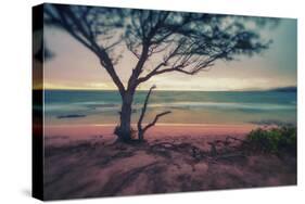 Memory Beach, Kauai-Vincent James-Stretched Canvas