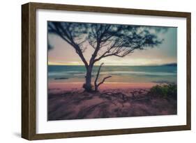 Memory Beach, Kauai-Vincent James-Framed Photographic Print