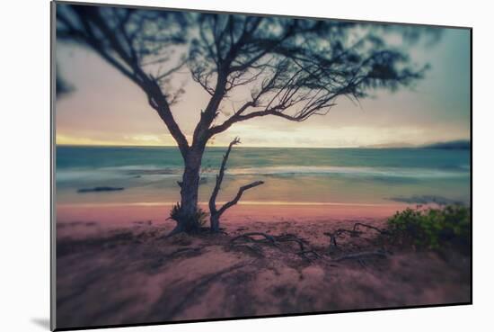 Memory Beach, Kauai-Vincent James-Mounted Photographic Print