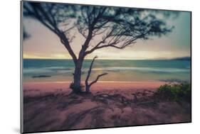 Memory Beach, Kauai-Vincent James-Mounted Photographic Print