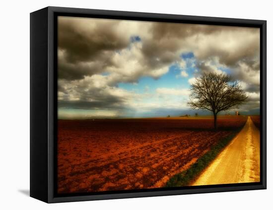 Memory Crash-Philippe Sainte-Laudy-Framed Stretched Canvas