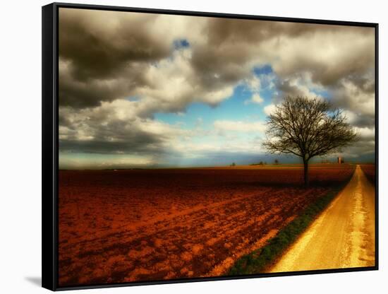 Memory Crash-Philippe Sainte-Laudy-Framed Stretched Canvas