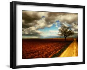 Memory Crash-Philippe Sainte-Laudy-Framed Premium Photographic Print