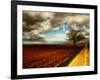 Memory Crash-Philippe Sainte-Laudy-Framed Photographic Print