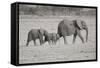 Memory Lane BW-Susann Parker-Framed Stretched Canvas