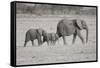 Memory Lane BW-Susann Parker-Framed Stretched Canvas