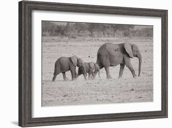 Memory Lane BW-Susann Parker-Framed Photographic Print