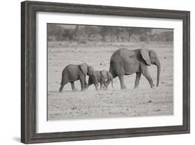 Memory Lane BW-Susann Parker-Framed Photographic Print