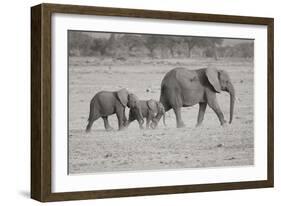 Memory Lane BW-Susann Parker-Framed Photographic Print