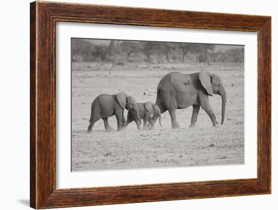 Memory Lane BW-Susann Parker-Framed Photographic Print