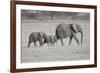 Memory Lane BW-Susann Parker-Framed Photographic Print