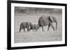 Memory Lane BW-Susann Parker-Framed Photographic Print