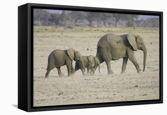 Memory Lane-Susann Parker-Framed Stretched Canvas