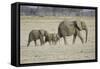 Memory Lane-Susann Parker-Framed Stretched Canvas