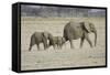 Memory Lane-Susann Parker-Framed Stretched Canvas