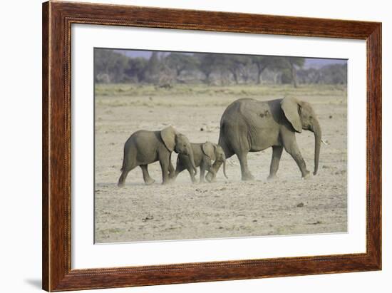 Memory Lane-Susann Parker-Framed Photographic Print