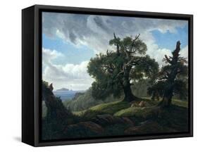Memory of a Wooded Island in the Baltic Sea (Oak Trees by the Se), 1835-Carl Gustav Carus-Framed Stretched Canvas