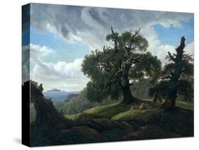 Memory of a Wooded Island in the Baltic Sea (Oak Trees by the Se), 1835-Carl Gustav Carus-Stretched Canvas