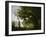 Memory of Mortefontaine, France, 1864-Jean-Baptiste-Camille Corot-Framed Giclee Print