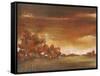 Memory Tree-Terri Burris-Framed Stretched Canvas