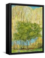 Memory-Jill Martin-Framed Stretched Canvas