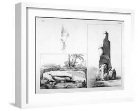 Memphis, Egypt, 19th Century-Ippolito Rosellini-Framed Giclee Print