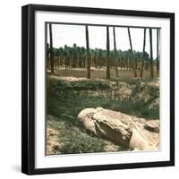 Memphis (Egypt), Fallen Statue of Sesostris-Leon, Levy et Fils-Framed Photographic Print