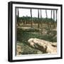 Memphis (Egypt), Fallen Statue of Sesostris-Leon, Levy et Fils-Framed Photographic Print